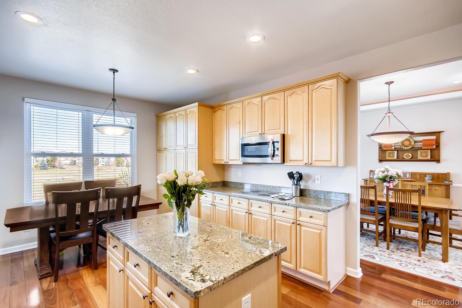 10117 South Fairgate Way Highlands Ranch, CO 80126 - Photo 11 of 28 Gallery Image 11