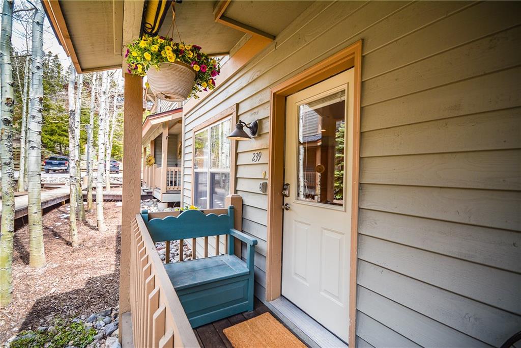 239 Huron Road, Unit 239 Breckenridge, CO 80424 - Photo 27 of 35 Gallery Image 27