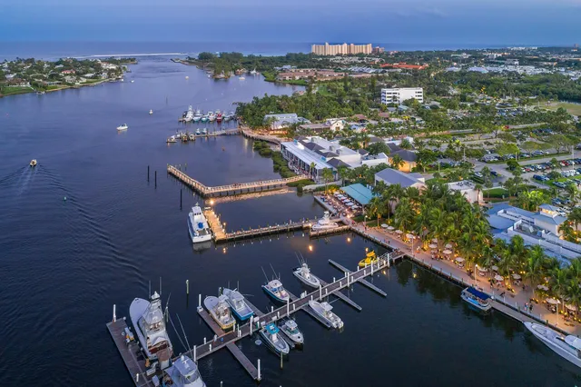 a view of a dry yard with wooden fence