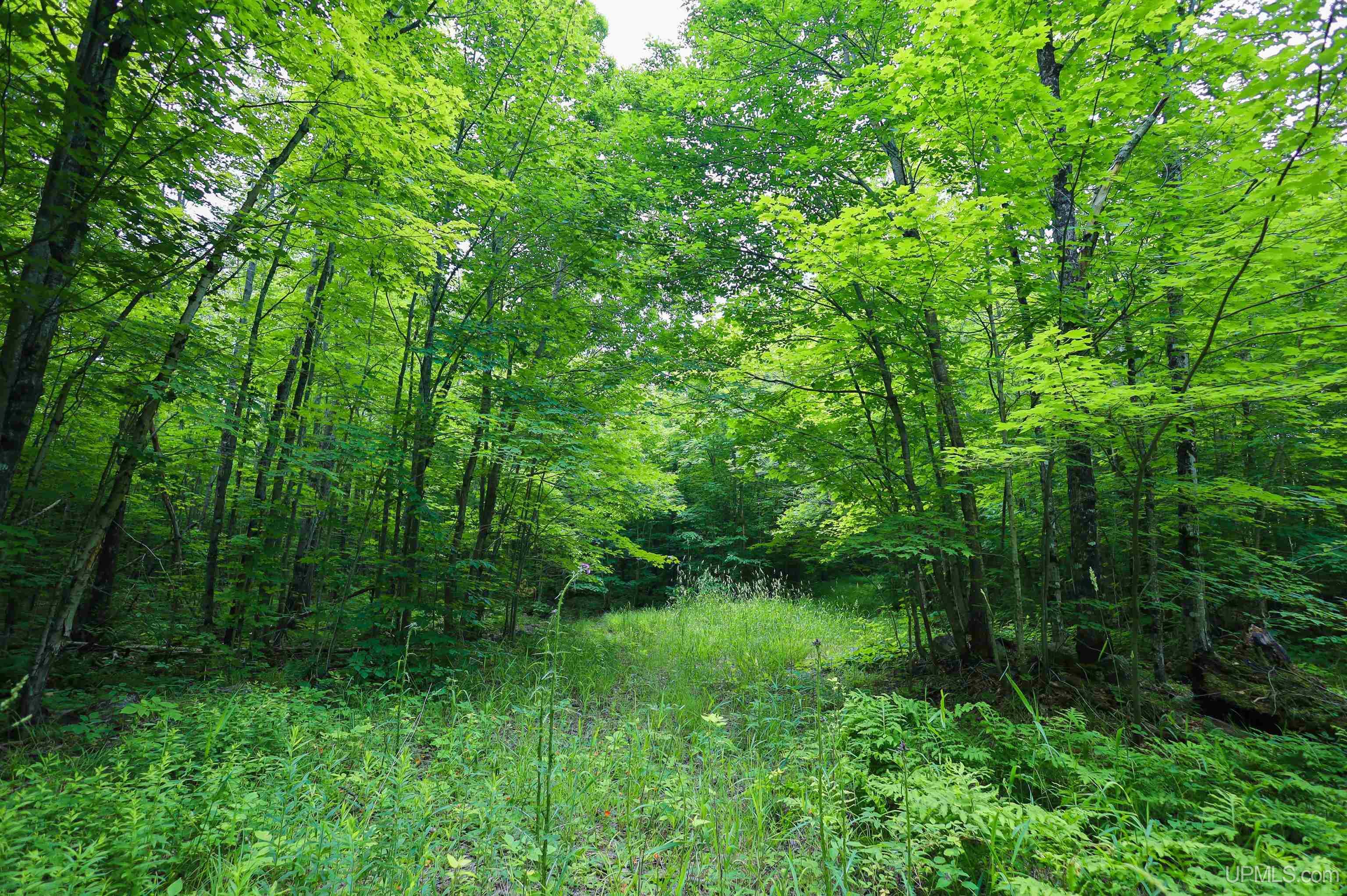 Tbd Sigan Road Marquette, MI 49855 - Photo 12 of 32