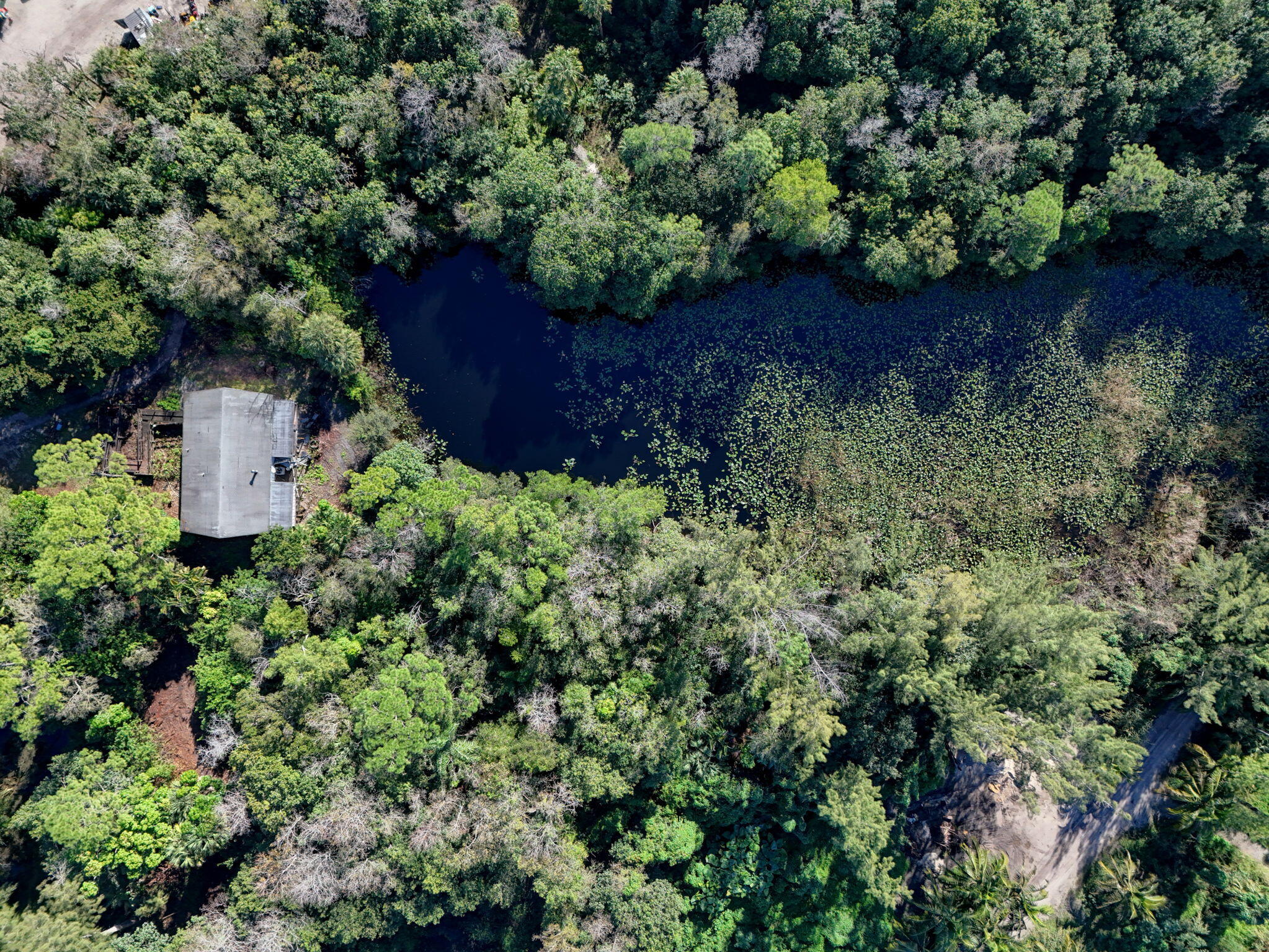 9620 171st Street North Jupiter, FL 33478 - Photo 21 of 23 an aerial view of a house with a yard and large tree