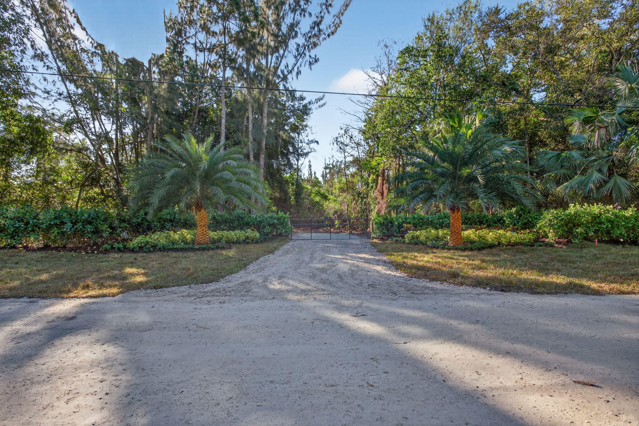 9620 171st Street North Jupiter, FL 33478 - Photo 23 of 23 a view of a yard with large trees