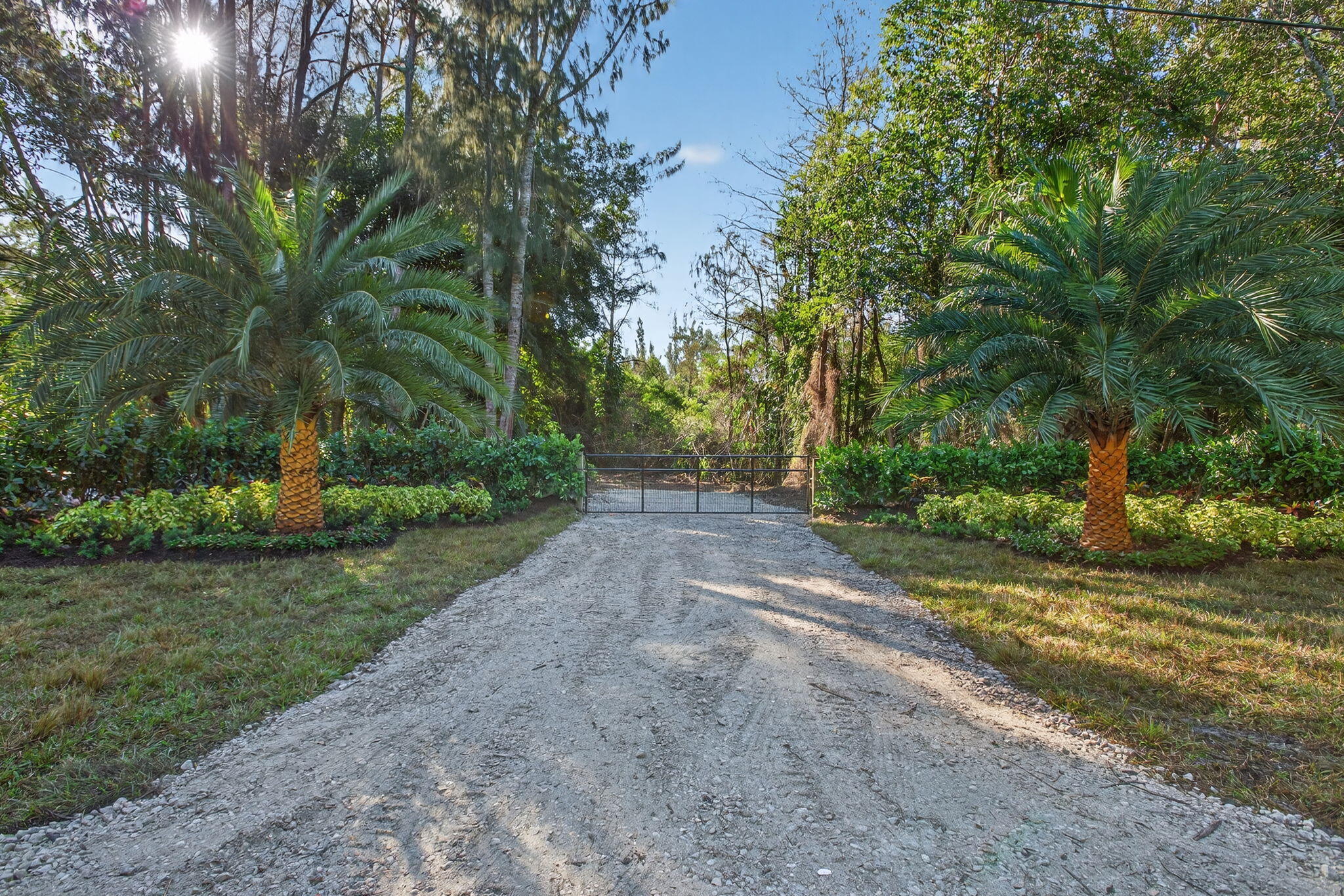 9620 171st Street North Jupiter, FL 33478 - Photo 5 of 23 a view of a yard with plants and trees