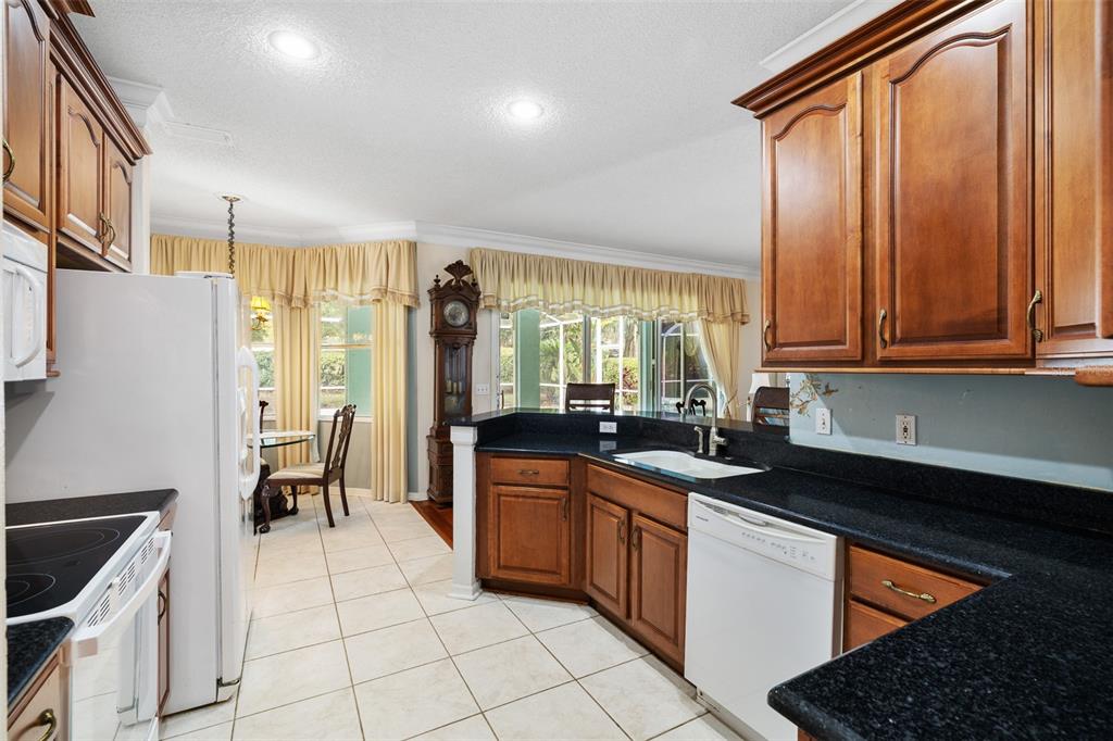 4906 Willow Ridge Terrace Valrico, FL 33596 - Photo 17 of 67 a kitchen with a sink and cabinets