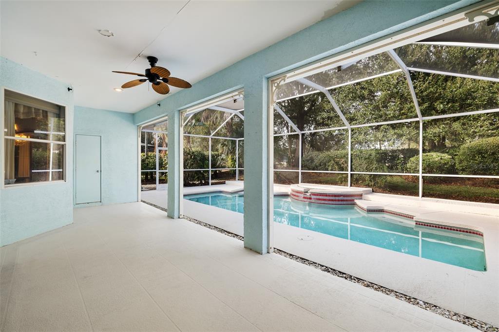4906 Willow Ridge Terrace Valrico, FL 33596 - Photo 34 of 67 a view of swimming pool with porch