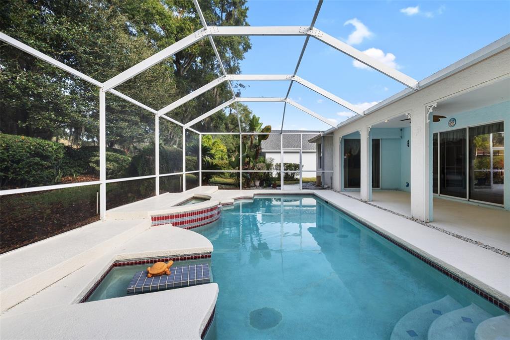 4906 Willow Ridge Terrace Valrico, FL 33596 - Photo 39 of 67 a view of a swimming pool with a patio