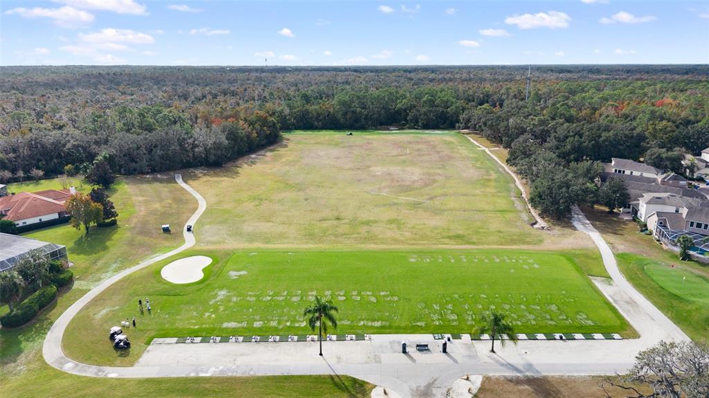 4906 Willow Ridge Terrace Valrico, FL 33596 - Photo 53 of 67 a view of a swimming pool with a yard