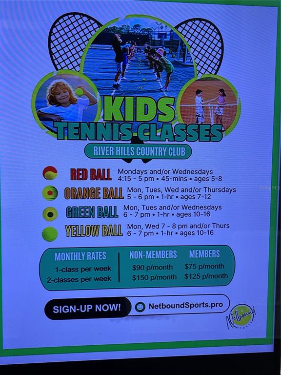 4906 Willow Ridge Terrace Valrico, FL 33596 - Photo 63 of 67