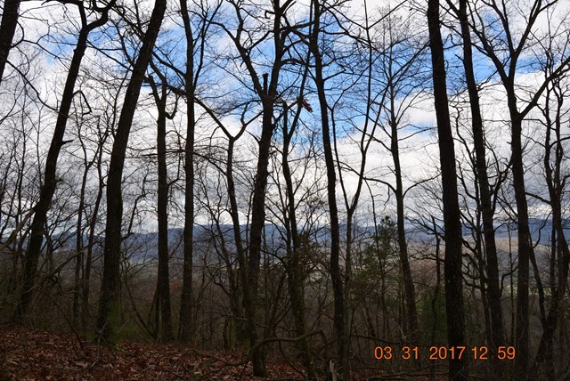 3530 Grape Creek Road Murphy, NC 28906 - Photo 15 of 53 a view of trees with sign on