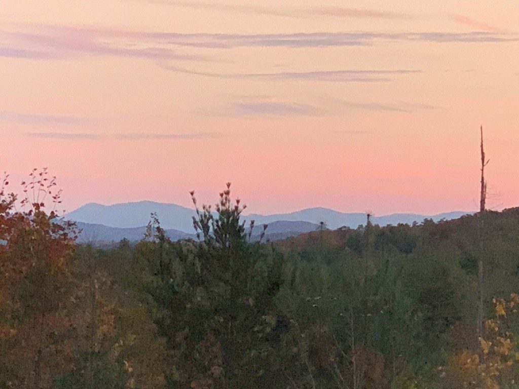 3530 Grape Creek Road Murphy, NC 28906 - Photo 16 of 53 a view of a mountain