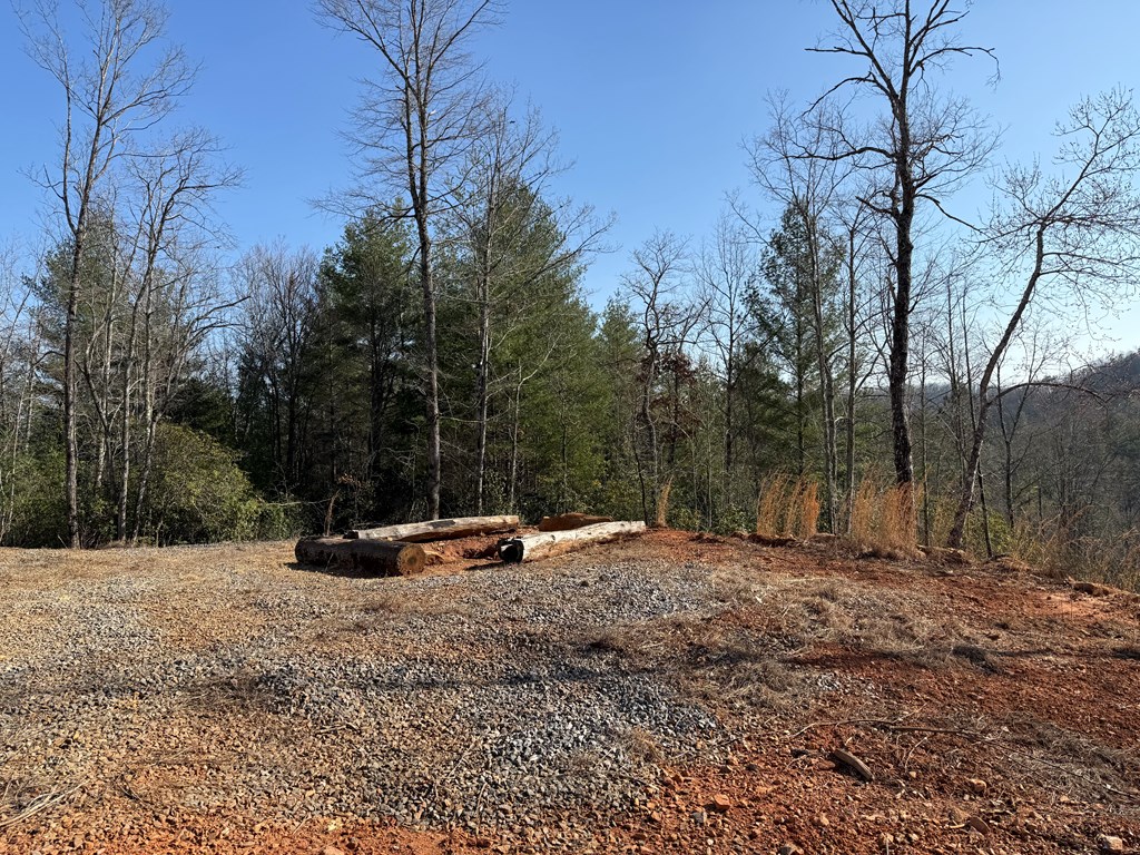 3530 Grape Creek Road Murphy, NC 28906 - Photo 39 of 53 a view of outdoor space with trees