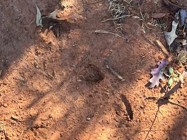 $1,950,000 | 3530 Grape Creek Road, Murphy, NC 28906