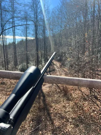 $1,950,000 | 3530 Grape Creek Road, Murphy, NC 28906