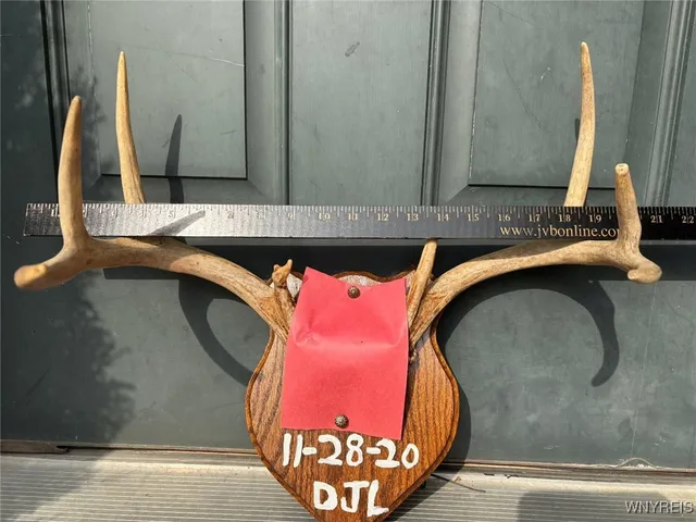 $78,500 | Scott Hollow Road, Little Genesee, NY 14754