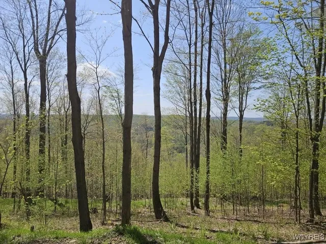 $78,500 | Scott Hollow Road, Little Genesee, NY 14754