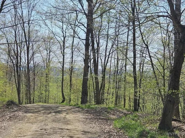 $78,500 | Scott Hollow Road, Little Genesee, NY 14754