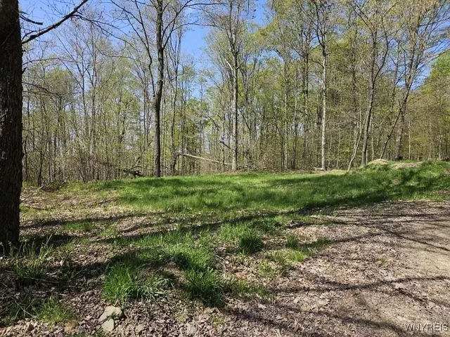 $78,500 | Scott Hollow Road, Little Genesee, NY 14754