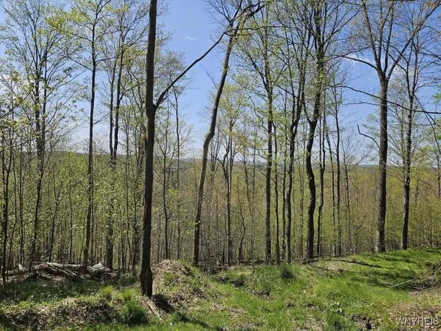 $78,500 | Scott Hollow Road, Little Genesee, NY 14754