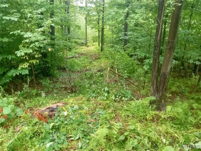 $78,500 | Scott Hollow Road, Little Genesee, NY 14754