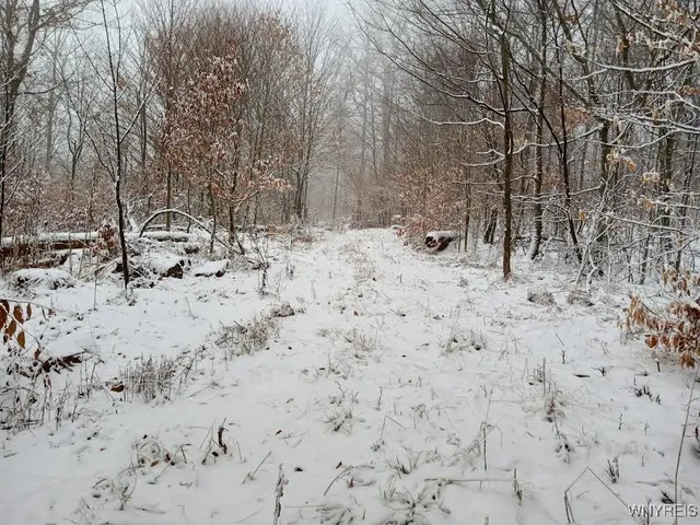 $78,500 | Scott Hollow Road, Little Genesee, NY 14754