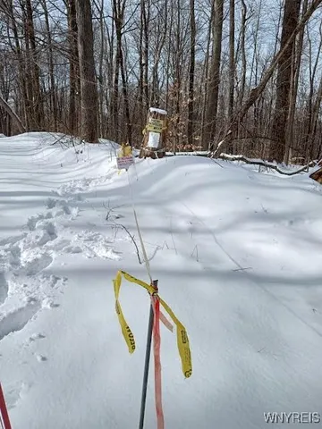 $78,500 | Scott Hollow Road, Little Genesee, NY 14754