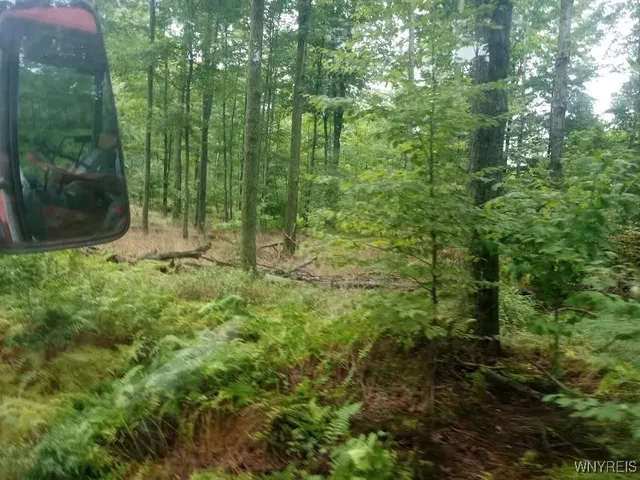$78,500 | Scott Hollow Road, Little Genesee, NY 14754