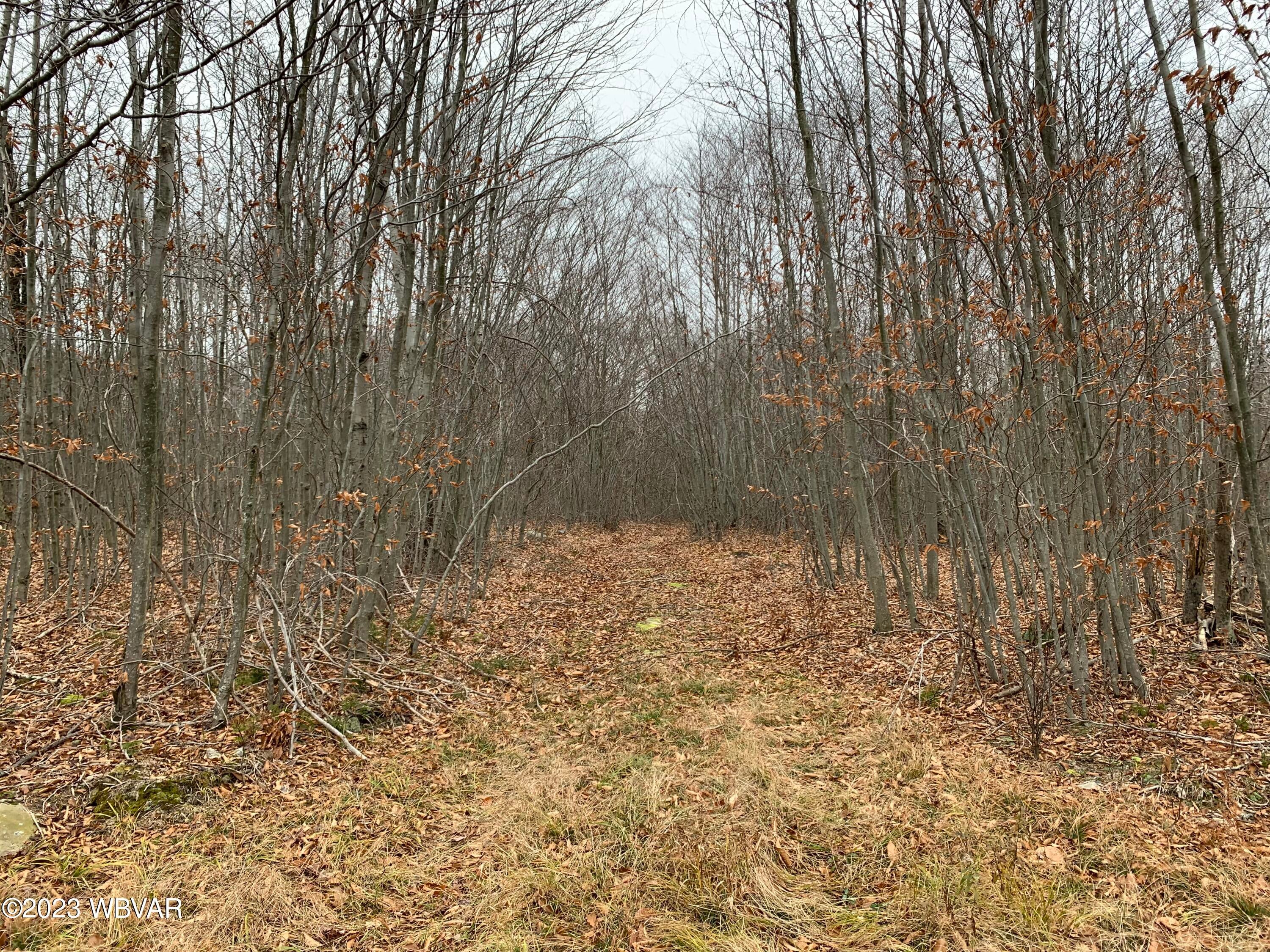Pole Bridge Road, Unit 37 Muncy Valley, PA 17758 - Photo 4 of 18 Gallery Image 4