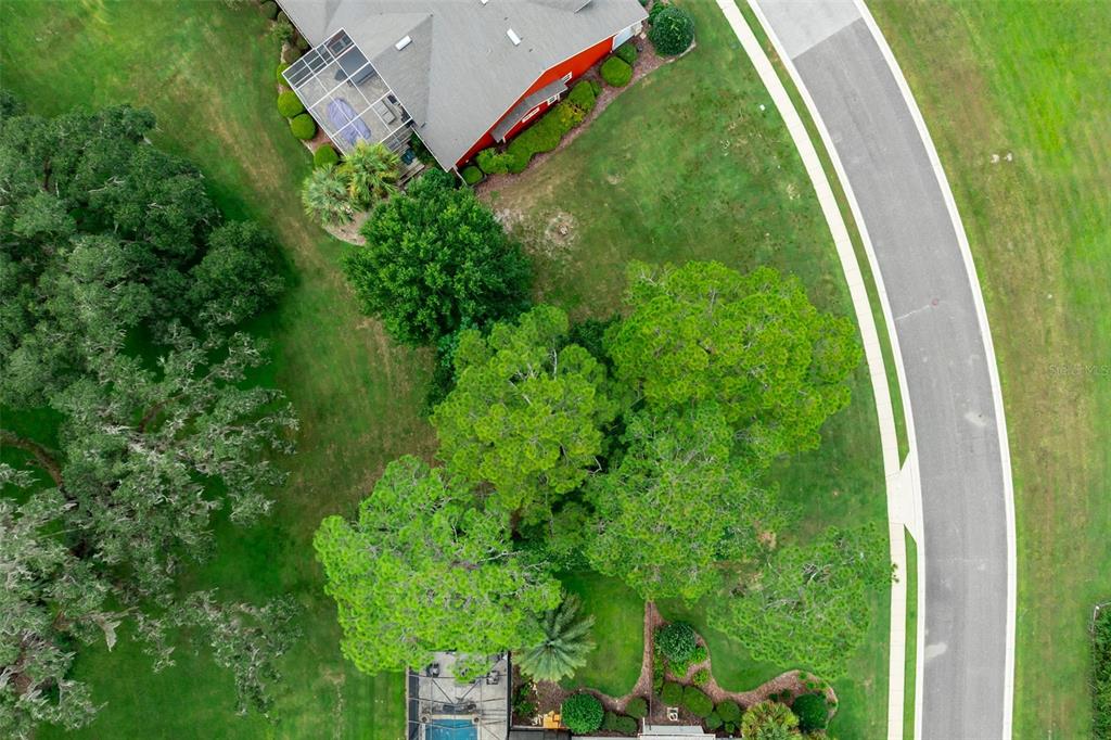 3897 Southwest 69th Avenue Gainesville, FL 32608 - Photo 18 of 20 a view of a garden