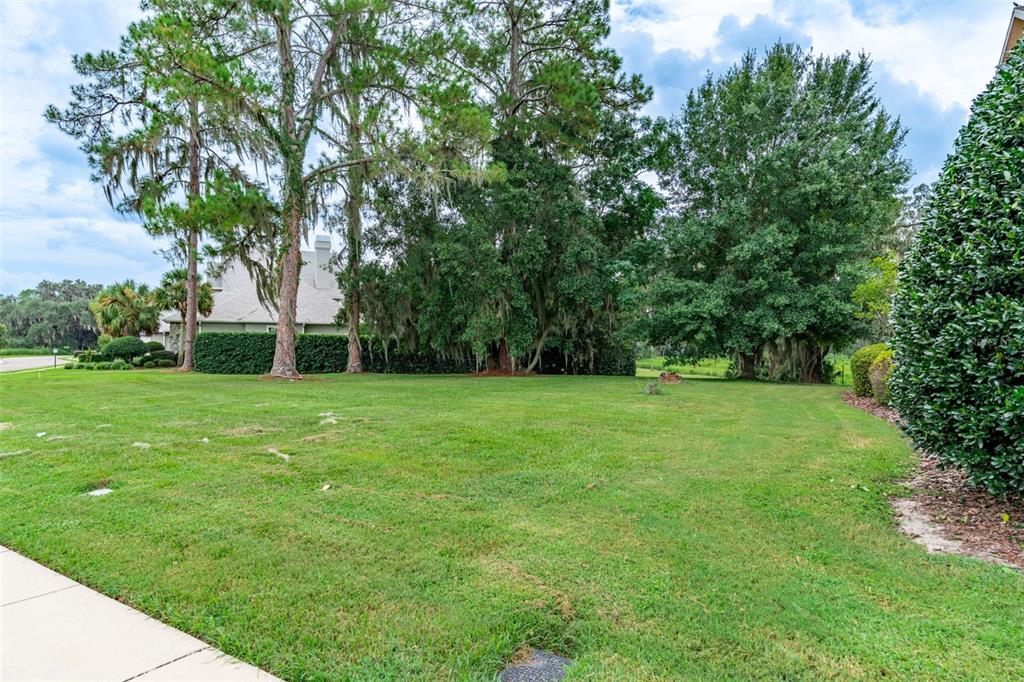 3897 Southwest 69th Avenue Gainesville, FL 32608 - Photo 5 of 20 a view of a garden