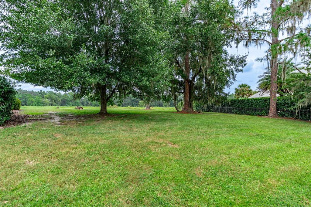 3897 Southwest 69th Avenue Gainesville, FL 32608 - Photo 6 of 20 a view of field with trees in the background