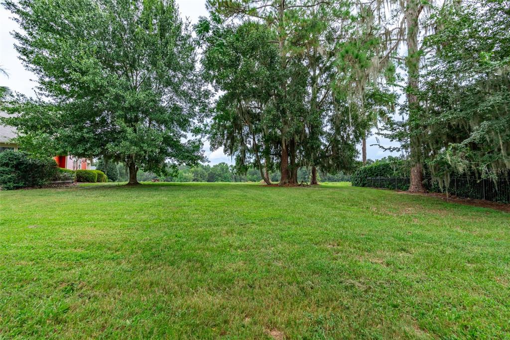 3897 Southwest 69th Avenue Gainesville, FL 32608 - Photo 7 of 20 a view of garden with trees