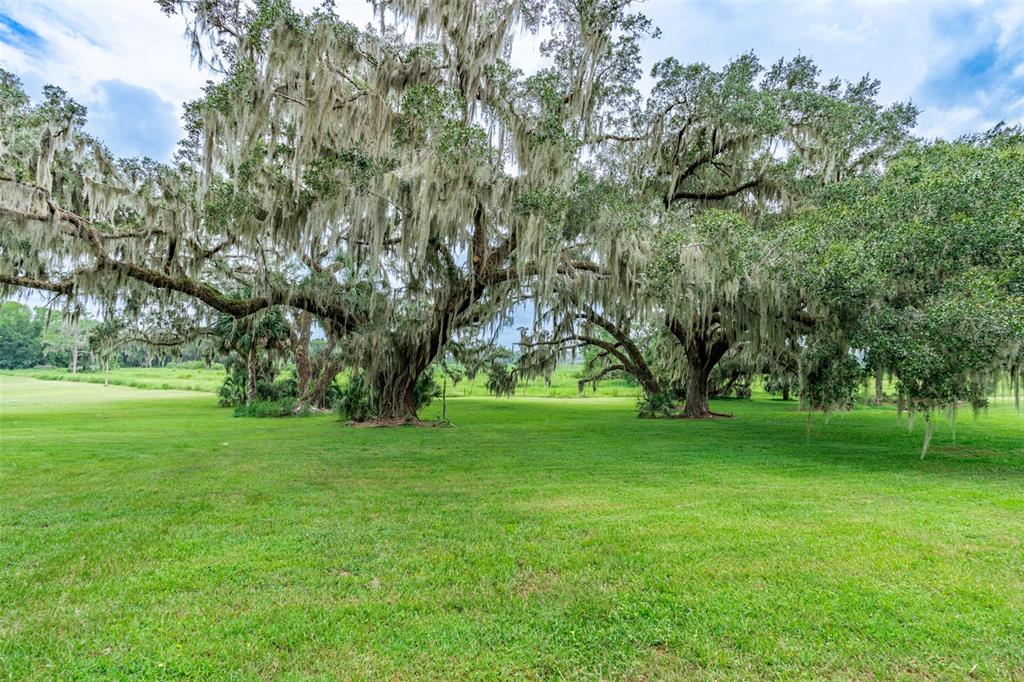 3897 Southwest 69th Avenue Gainesville, FL 32608 - Photo 8 of 20 a view of garden view