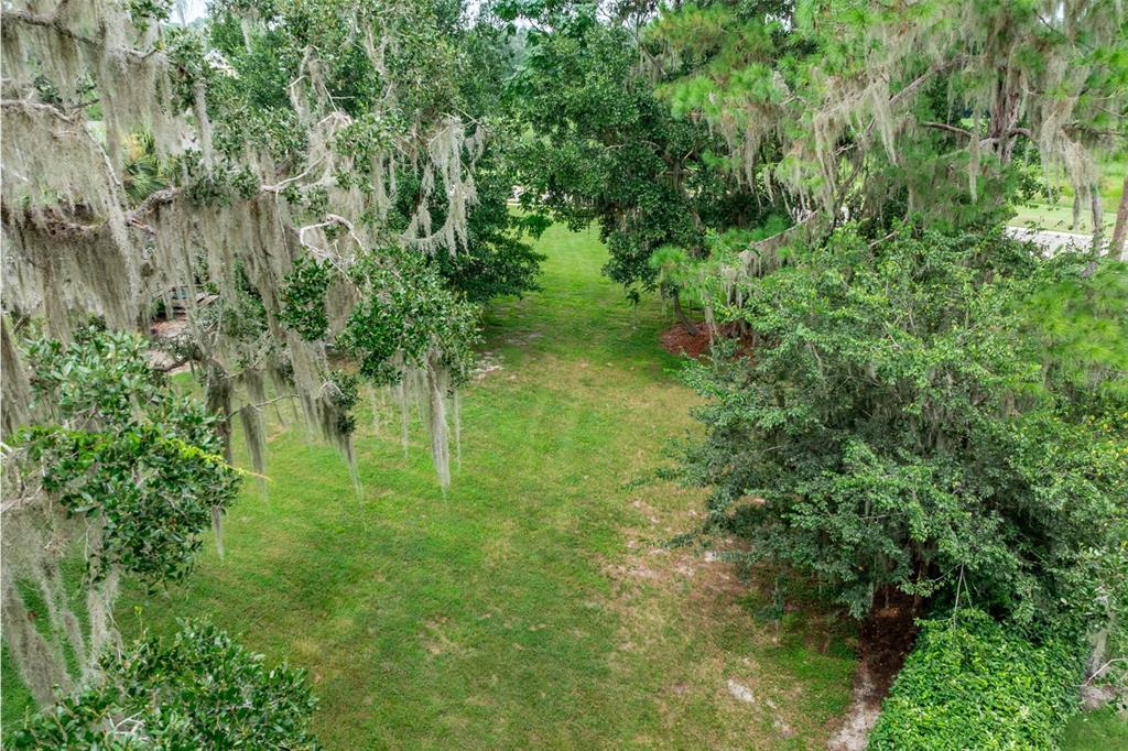 3897 Southwest 69th Avenue Gainesville, FL 32608 - Photo 10 of 20 a view of yard with green space
