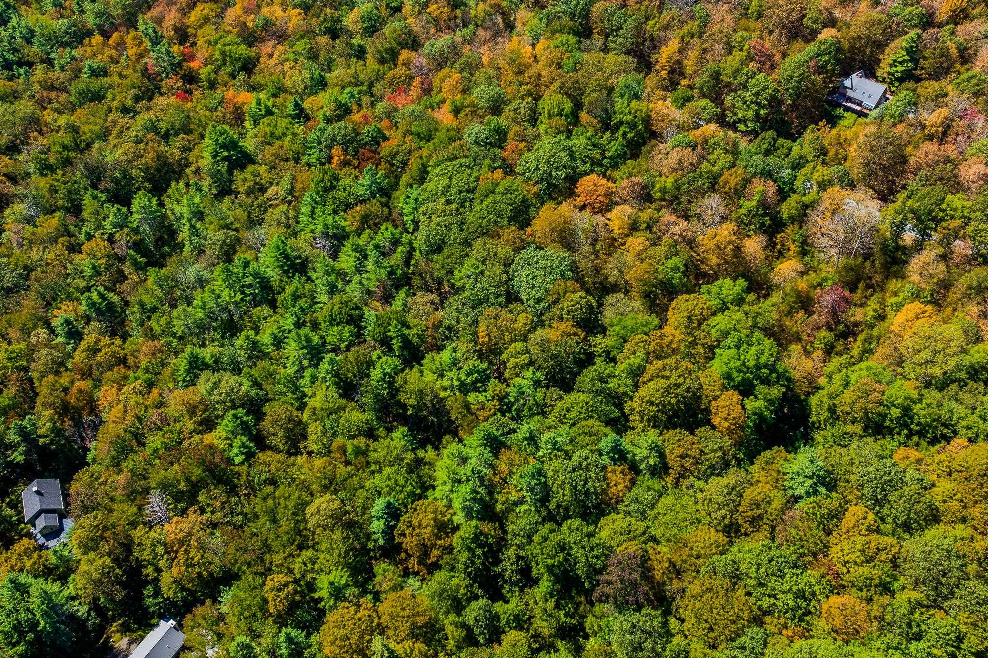 5268 Willard Road, Unit 5268 Quechee, VT 05059 - Photo 23 of 29