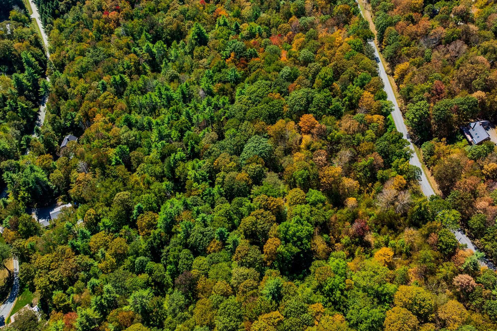 5268 Willard Road, Unit 5268 Quechee, VT 05059 - Photo 24 of 29