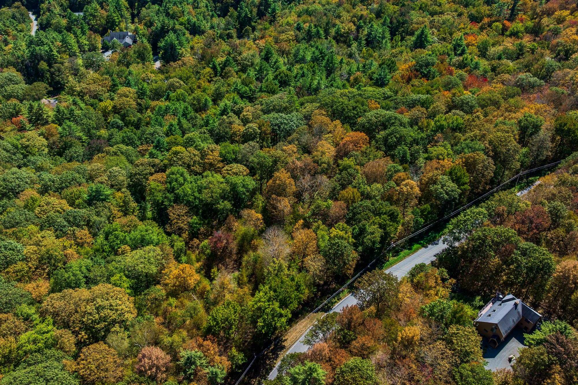 5268 Willard Road, Unit 5268 Quechee, VT 05059 - Photo 8 of 29