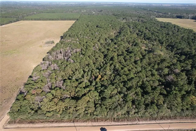 $35,000 | 0 Tbd Bert Road, Elton, LA 70532