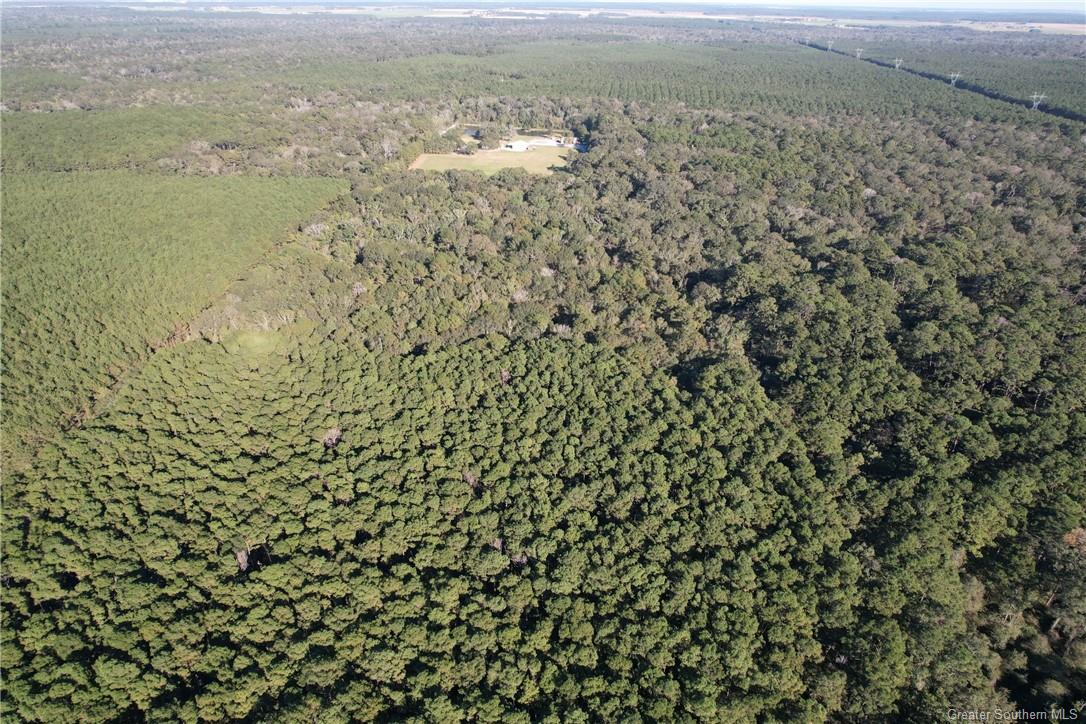 0 Tbd Bert Road Elton, LA 70532 - Photo 3 of 5