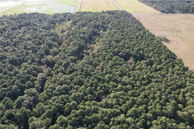 $35,000 | 0 Tbd Bert Road, Elton, LA 70532