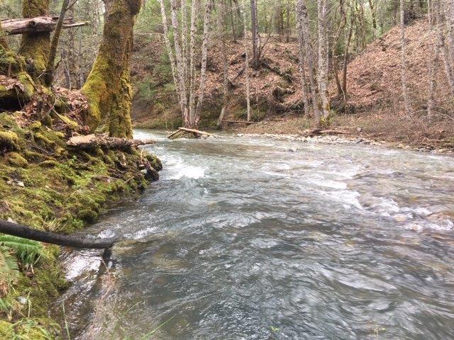 5734 Pleasant Creek Road Rogue River, OR 97537 - Photo 17 of 29 Pleasant Creek diversion point for water