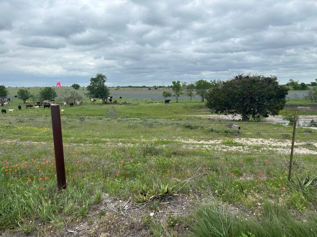 Tbd Hackberry Road Holland, TX 76534 - Photo 17 of 22 a view of field with green space