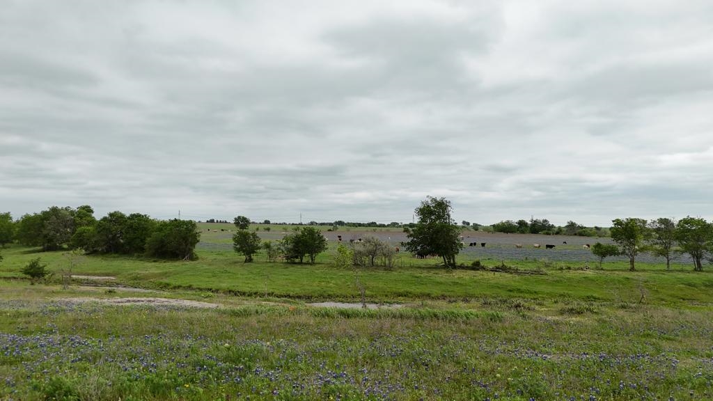 Tbd Hackberry Road Holland, TX 76534 - Photo 18 of 22 a view of a field with trees in background