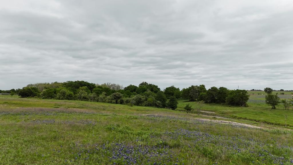 Tbd Hackberry Road Holland, TX 76534 - Photo 19 of 22 a view of a grassy field with trees