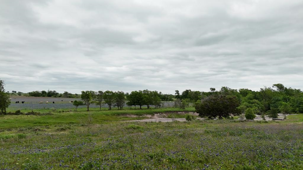 Tbd Hackberry Road Holland, TX 76534 - Photo 20 of 22 a view of a grassy field