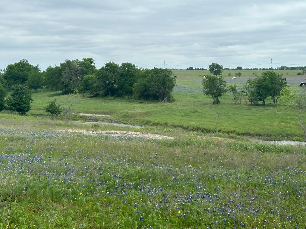 Tbd Hackberry Road Holland, TX 76534 - Photo 3 of 22 a view of field with green space