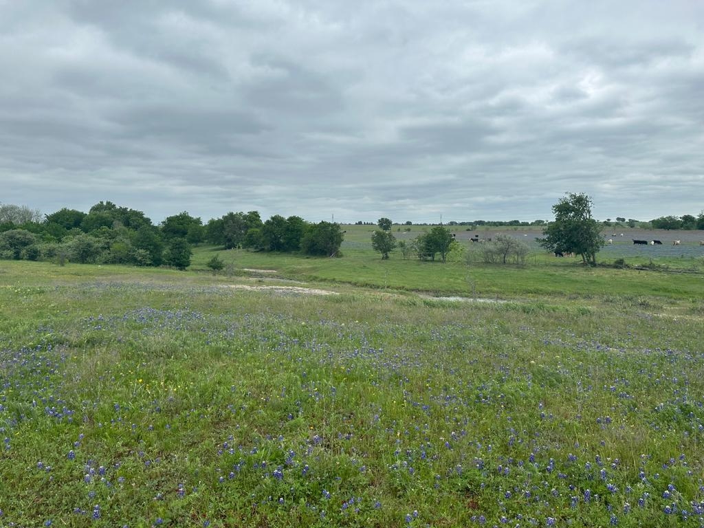 Tbd Hackberry Road Holland, TX 76534 - Photo 7 of 22 a view of a field with trees in background