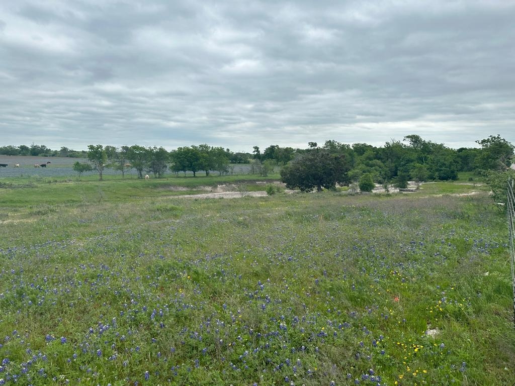 Tbd Hackberry Road Holland, TX 76534 - Photo 9 of 22 a view of an outdoor space and a yard