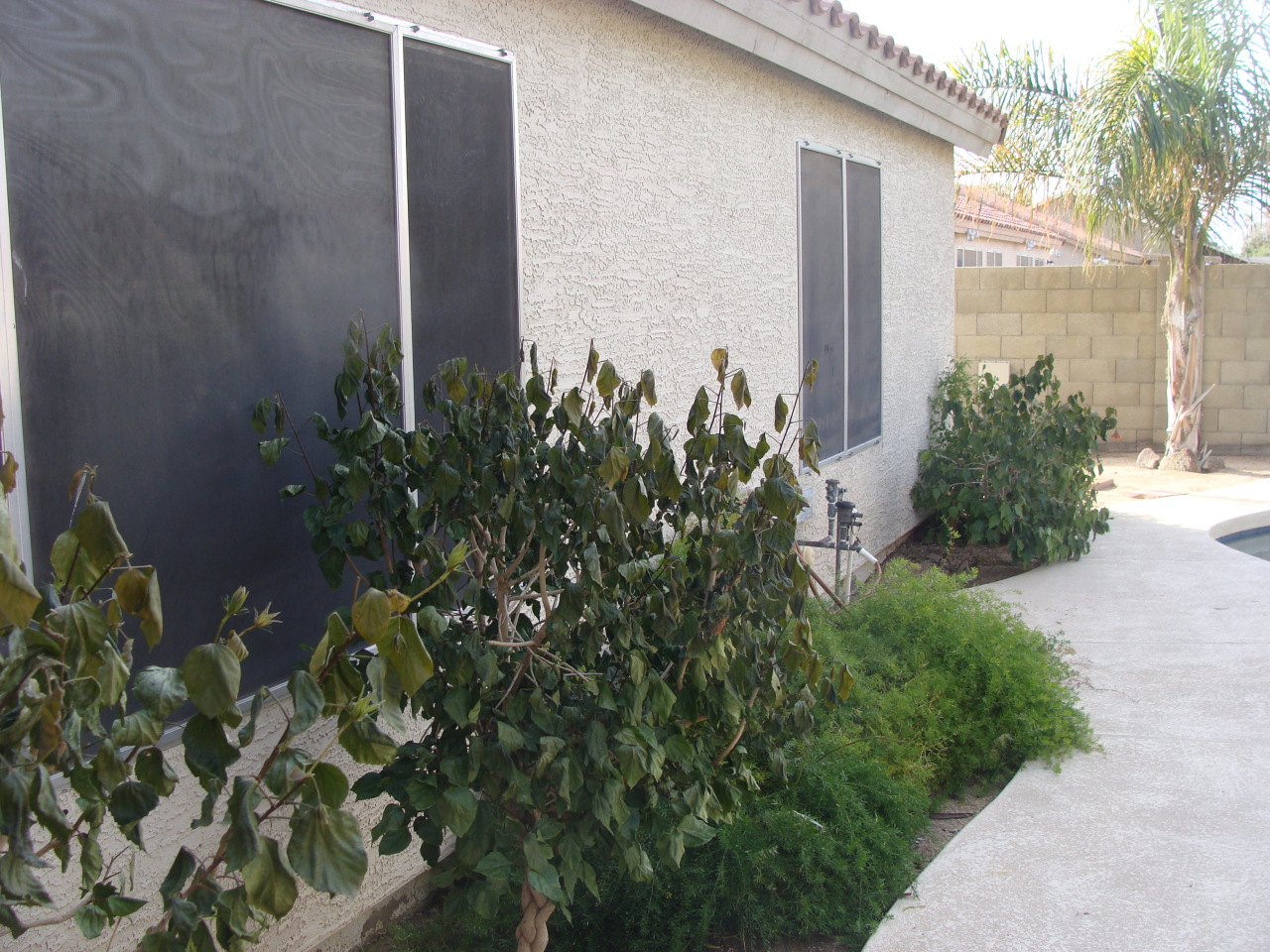 1820 East Darrel Road Phoenix, AZ 85042 - Photo 12 of 25 12