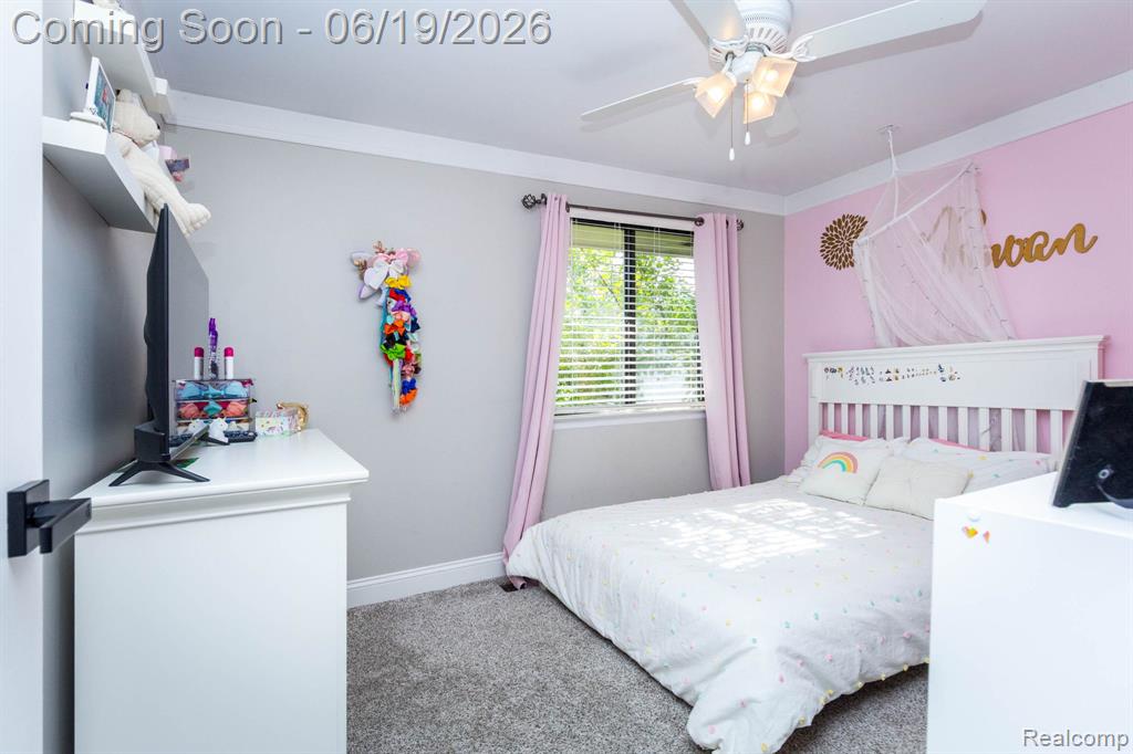 21508 Hall Road Trenton, MI 48183 - Photo 30 of 43