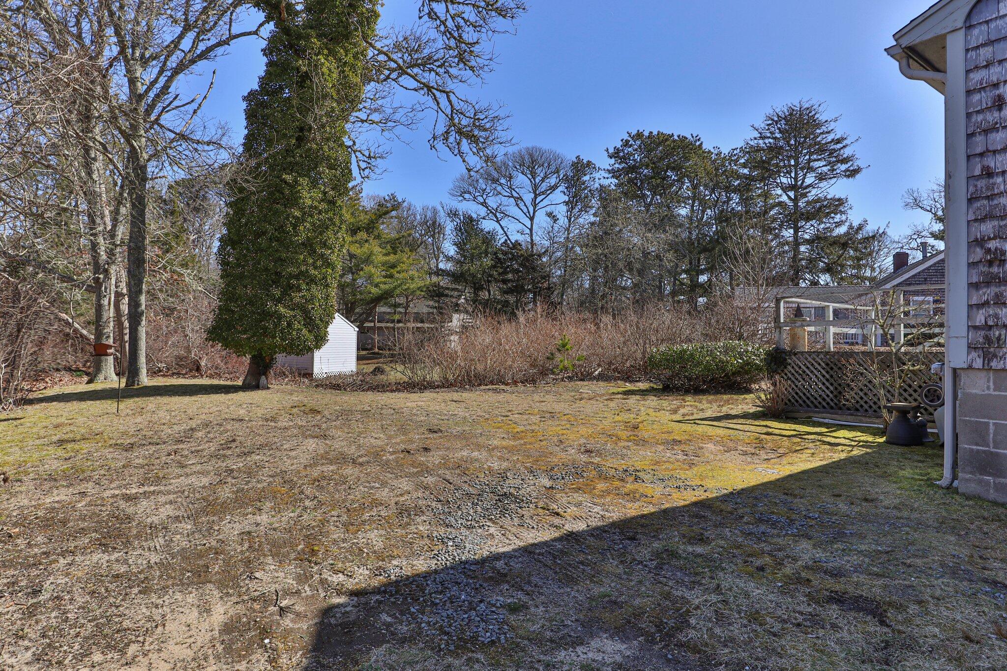 2 Long Road Harwich, MA 02645 - Photo 23 of 34 a view of backyard and tree
